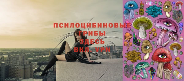 Альфа ПВП Гусь-Хрустальный