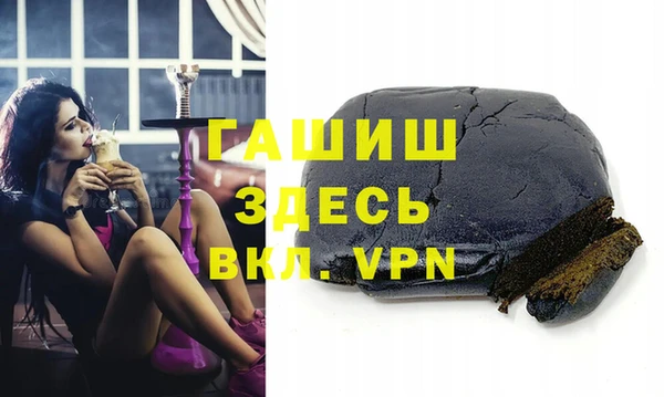 гидра Горняк