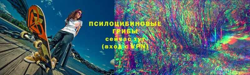 как найти наркотики  Гусиноозёрск  Галлюциногенные грибы ЛСД 